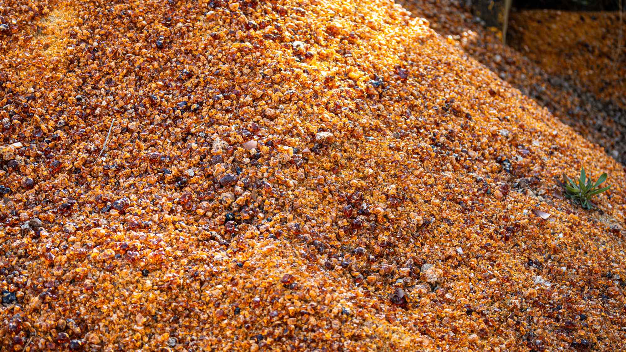 Calcin de couleur vermeil, matière recyclée des produits duralex