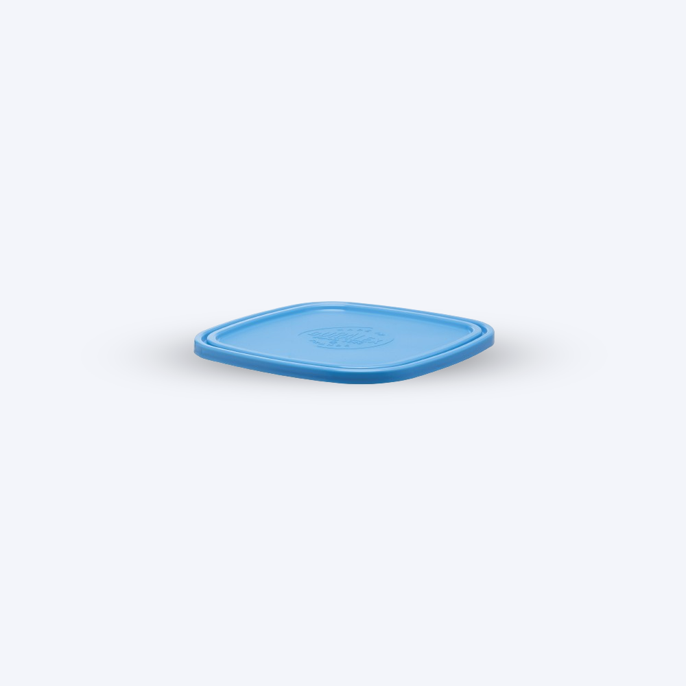 Freshbox - Couvercle Bleu carré - 20cm