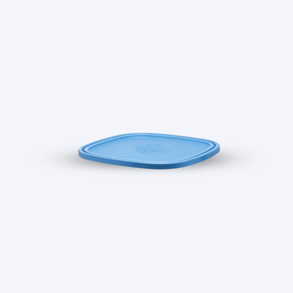 Freshbox - Couvercle Bleu carré - 23cm