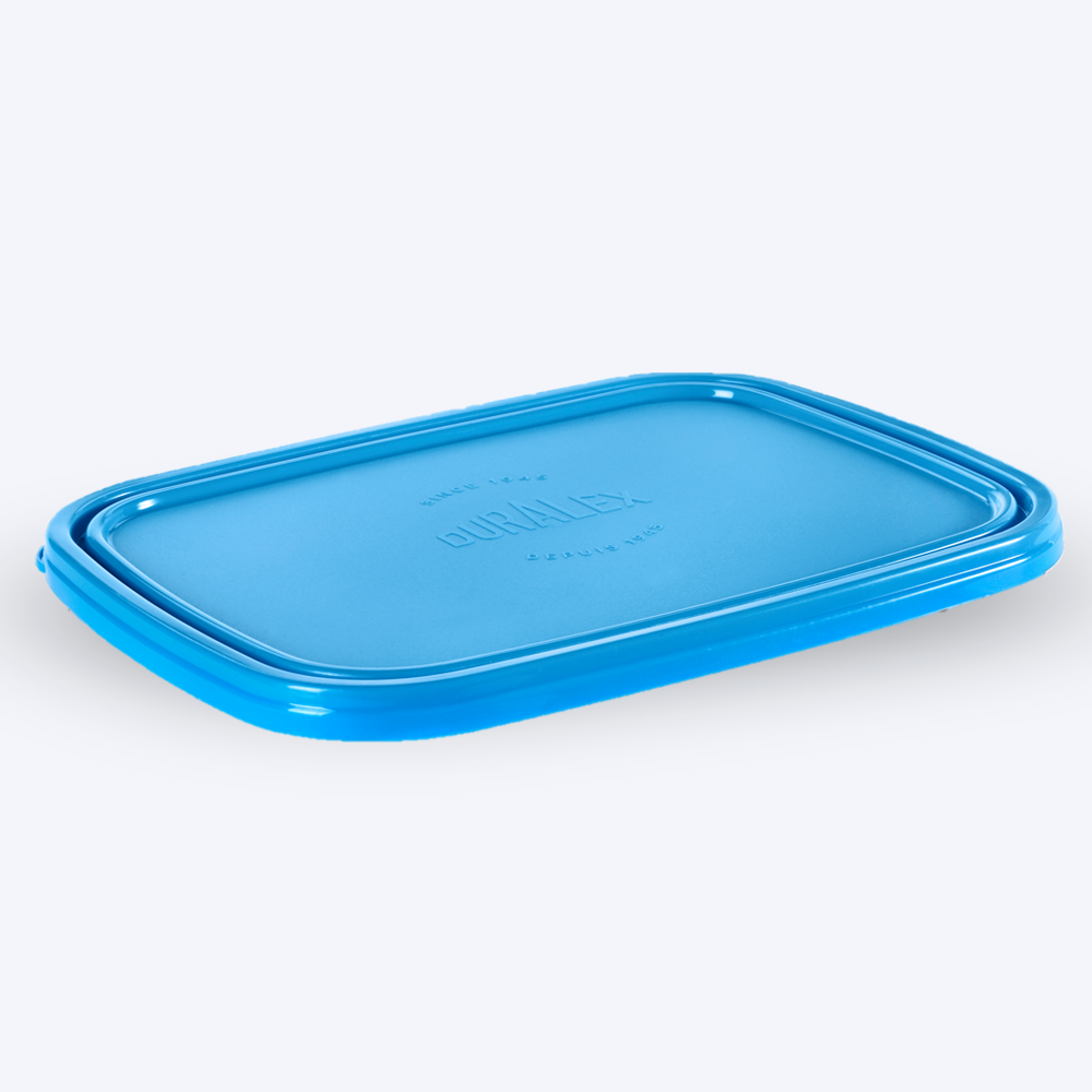 Freshbox - Couvercle Bleu rectangulaire - 21cm